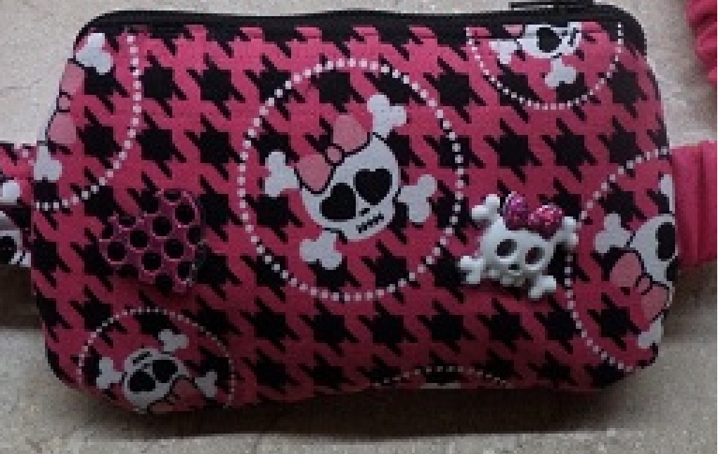 Girly Insulin Pump Pouch Monster High in Glam Skullbones Girly Insulin Pump Pouch Monster High in Glam Skullbones